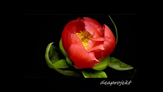 Nada Brahma  ♪ Joachim Ernst Berendt ♪ Die Welt ist Klang 2/2  ♪♫ deaprojekt