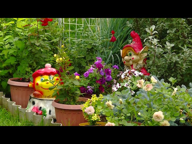 Не садоводство, а настоящий заповедник