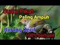 Suara Pikat Burung Kecil Paling Ampuh 100 Berhasil V 0 1