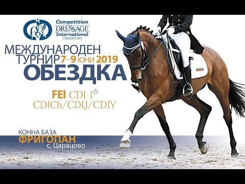 International Dressage Competition FEI CDI - 7-9.06.2019 Day 1