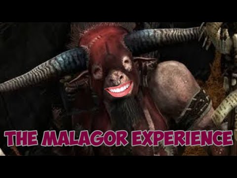 The Malagor Experience!