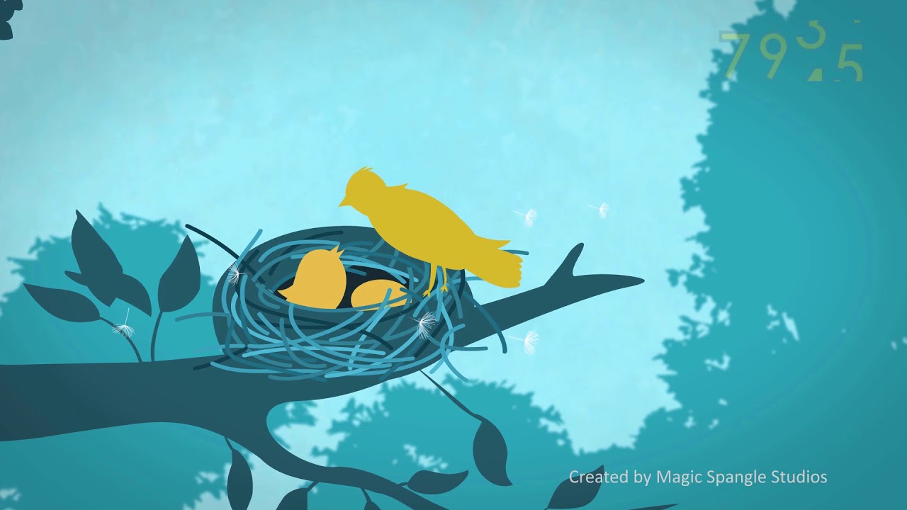 For Safe Motherhood | NGO Animation Video | Magic Spangle For Safe Motherhood | NGO Animation Video | Magic Spangle