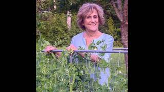 A Lifetime of Gardening with Barbara Damrosch