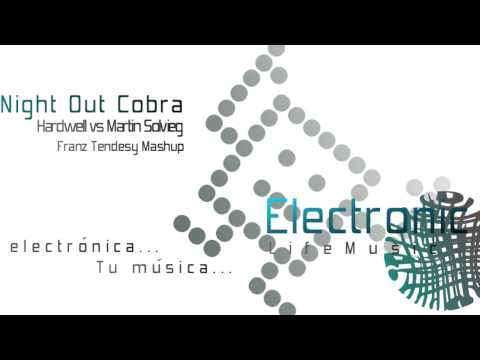 Hardwell vs Martin Solvieg - The Night Out Cobra (Franz Tëndesy Mashup)