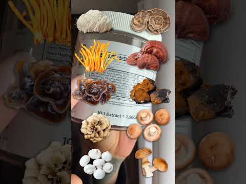 Videos from PRIME BRANDS