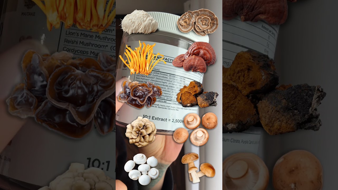 ULTRA SHROOM - 10:1 MASTER BLEND - MUSHROOM GUMMIES!  #primebrands #mushroom gummies #mushroom gummy