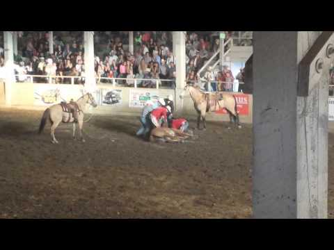 Horse breaks neck in rodeo
