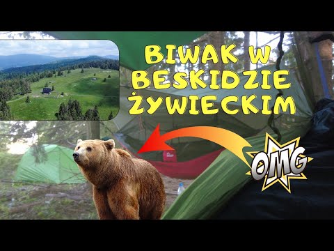 Camping in the Beskid Mountains: Campfire, hammock, and a night under the stars. #bushcraft #surv...
