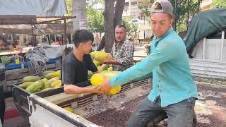 Saklı ata tohumundan tezgahlara gelen lezzet