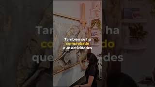 PINTAR 💕PARA HACERTE SENTIR BIEN CONTIGO MISMA👩🏻 🎨🎨