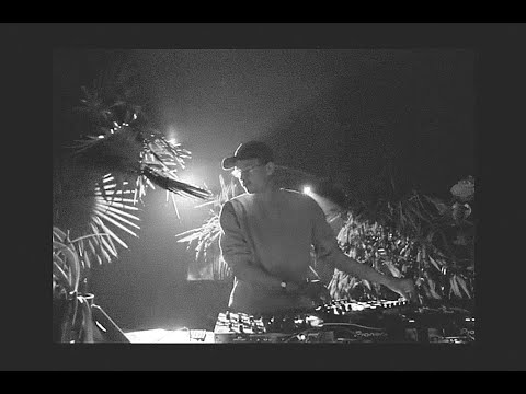 Theo Meier @ DuTanztMichMal Livestream (Weberknecht Wien)