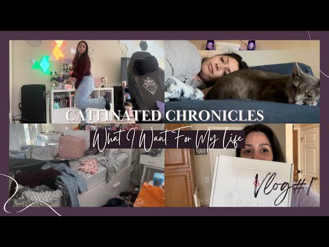 Life Goals and Content Creator Plans | Catfinated Chronicles Vlog Ep. 1