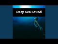 Deep Deep Sloshing