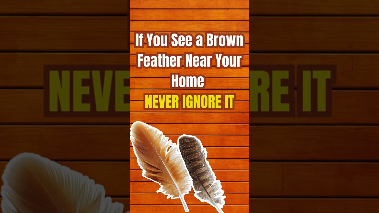 Brown Feather Spiritual Meaning
