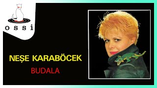 Neşe Karaböcek / Budala