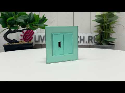 Розетка USB с блоком питания 2.1А 5В Livolo, цвет зеленый (механизм) BB-C7-1USB-18