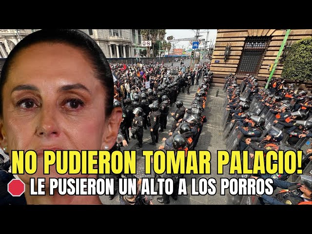 Wicha Las noticias como son