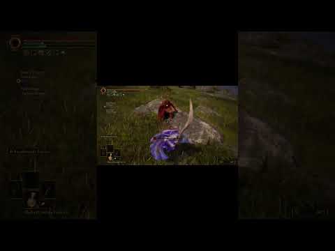 ELDEN RING - SUMMON THE HUNTSMAN #eldenring #videogamemusic #videogames #gaming #80smusic #pvp