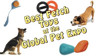 Best Fetch Dog Toys in 2016