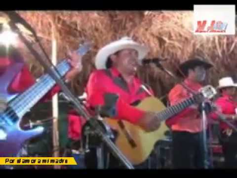 Los Gavilanes de la Frontera - Rancheros de Tomo y Lomo - En Vivo  1.