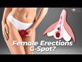 Female Erections Part 2 The G Spot