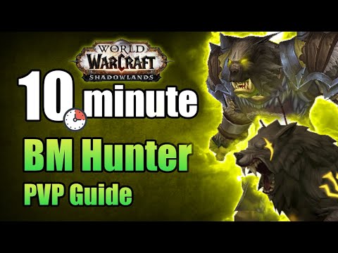 Shadowlands 9.0.2 Beast Mastery Hunter PVP Guide in under 10 minutes | WoW