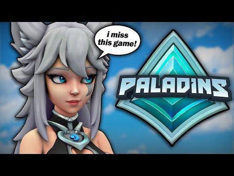 How It Feels To Play Paladins Again...
