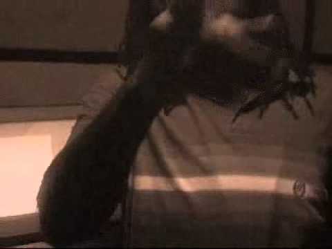 This Is A Rap - Smoke Yunga