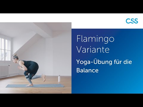 Flamingo Variante | Yoga Balance Übung 5/6