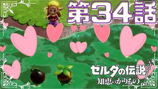 【ゼルダの伝説　知恵のかりもの】　ゼルダ姫が主人公！？かりものをしてハイラルを救う！！　第３４話