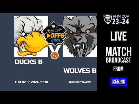 BRONZE MEDAL GAME / DUCKS B vs. WOLVES B / PHM Cup 23-24