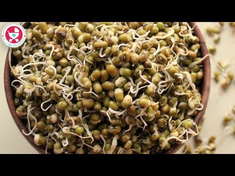 How to Sprout Mung Beans?