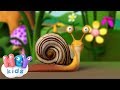 Petit Escargot Chansons Pour Bébés HeyKids