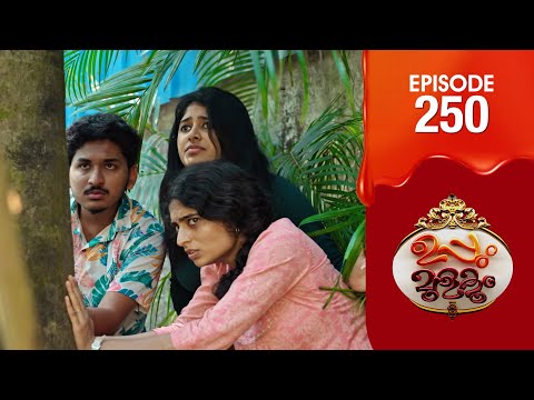 Uppum Mulakum 3 | Flowers | EP # 250