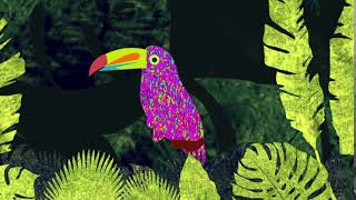 Toucan for Costa Rica