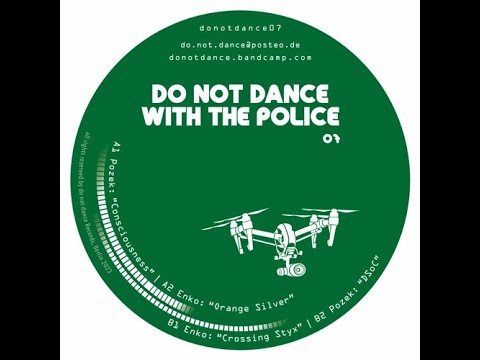 Pozek - Consciousness