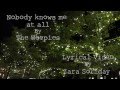 Nobody Knows Me At All - The Weepies (Lyrical Video)