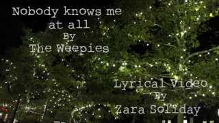 Nobody Knows Me At All - The Weepies (Lyrical Video)