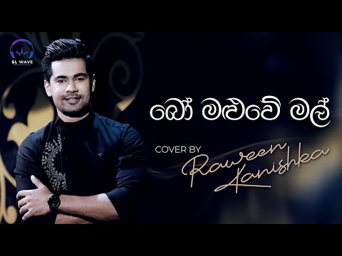 බෝ මළුවේ මල්  | Bo Maluwe Mal (Cover)  - Raween Kanishka