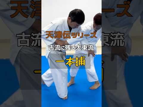 古流に残る投げない大東流合気柔術〜合気道の源流を辿る総伝の一本捕変化