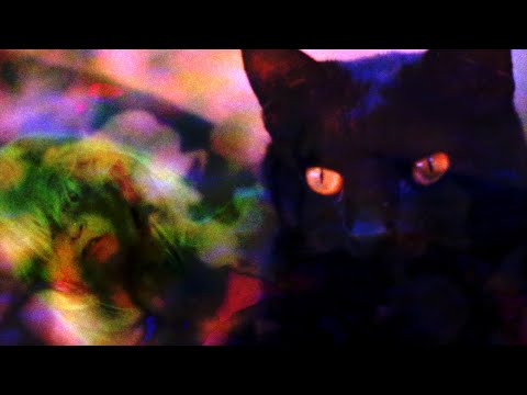 Pale Saints - Kinky Love [Demo] (Official Video)