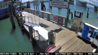 Hubbard's Marina Dock Cam | John's Pass | Madeira Beach FL | https://HubbardsMarina.com live webcam