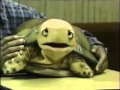 Classic Sesame Street Shelly Is Afraid Of Barkley 1989