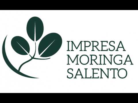 Arbor Vitae - Moringa Salento Fondazione Pasquinelli 