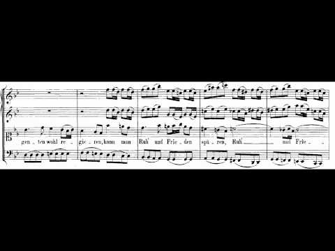 Bach BWV 208-5 "Schafe können sicher weiden" ("Sheep may safely graze")