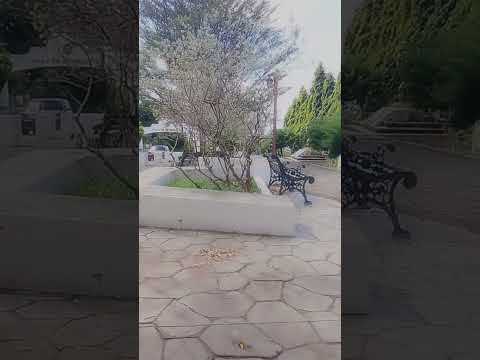 plaza los Cumpas cuisnahuat Sonsonate El Salvador #light