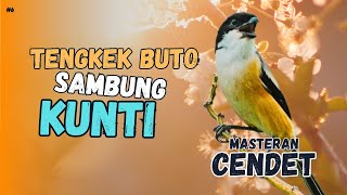 Download lagu TENGKEK BUTO SAMBUNG KUNTI MASTERAN CENDET AUDIO JERNIH mp3