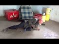 CHWADE GI NYUNDO CHALLENGE