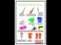 House Cleaning Tools Cleaning Tools Name In English