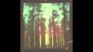 Fossil Collective - In A Northern Sky